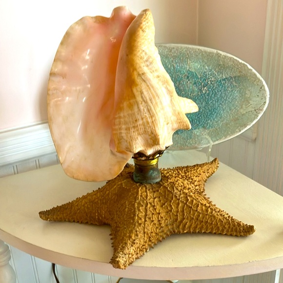 Handcrafted Authentic Conch Shell & Starfish Lamp - Picture 9 of 14